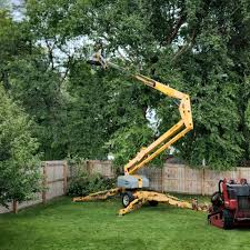 Best Hazardous Tree Removal  in Farmers Branch, TX